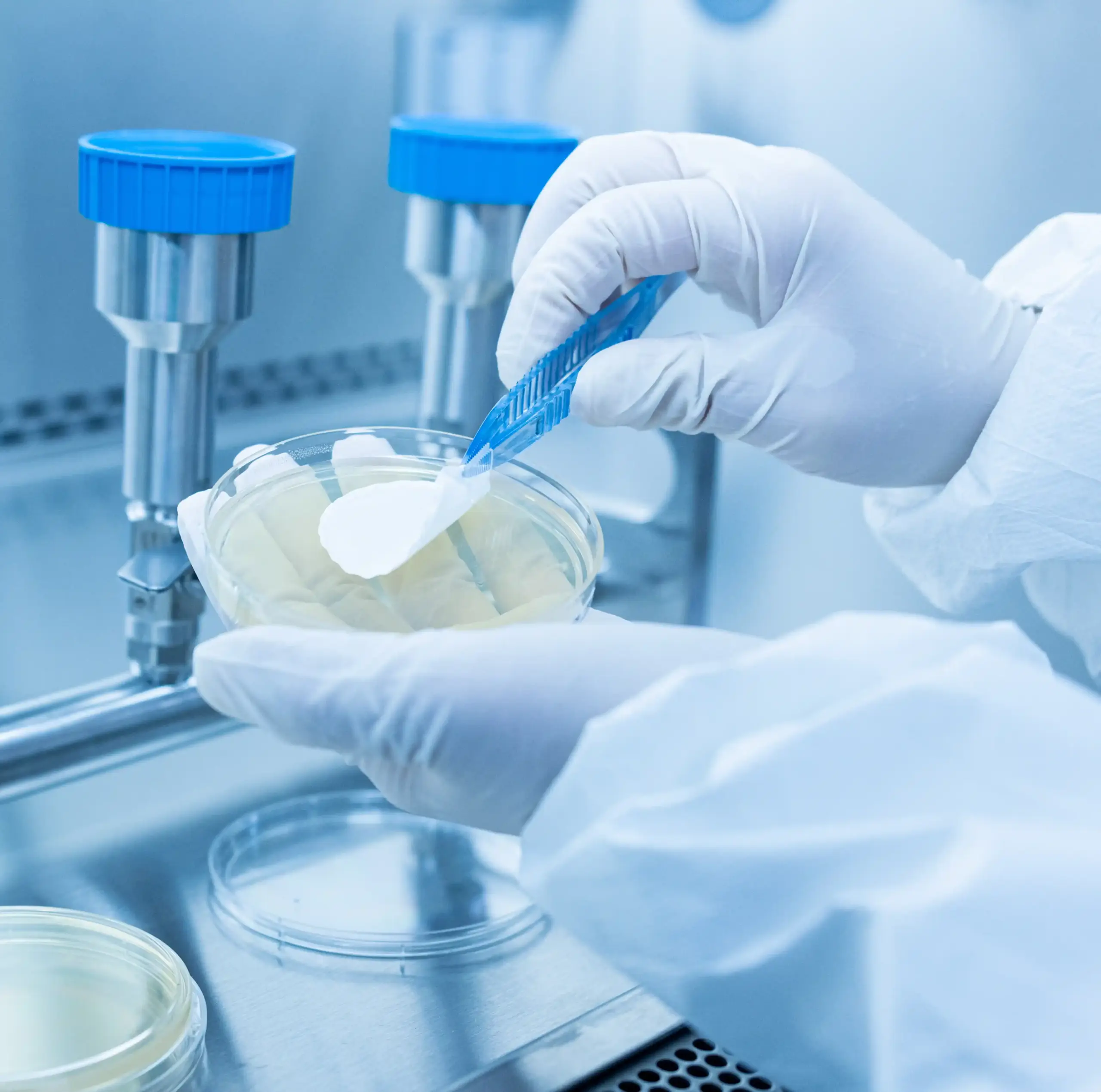 VAI Labs: Expert GMP Testing & Rapid Results