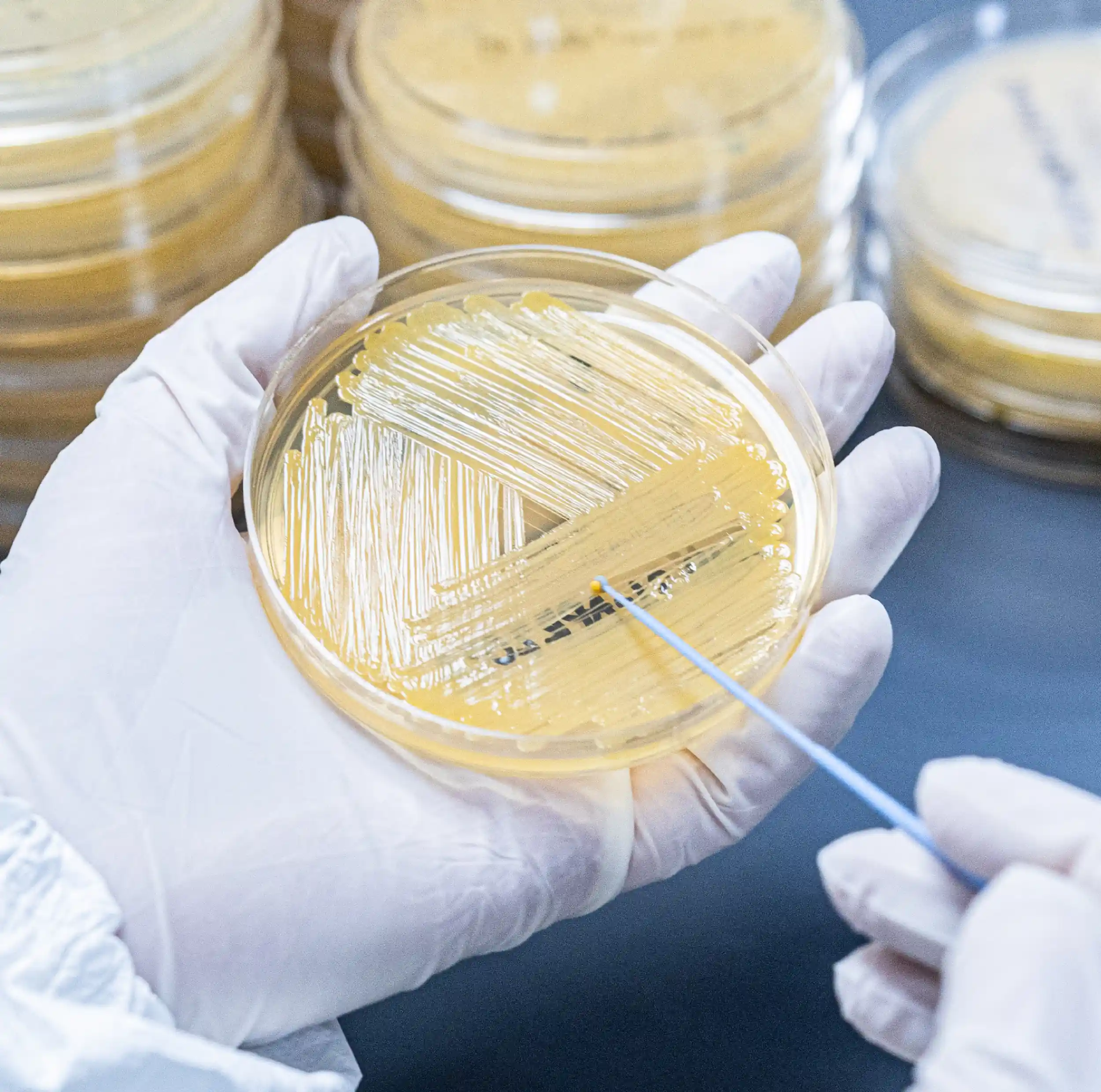 VAI Labs GMP & GLP Testing Laboratories